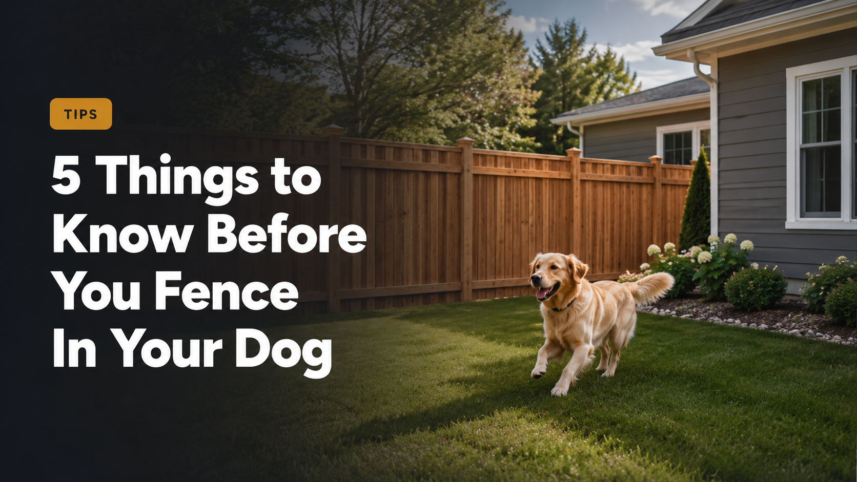 5 Things to Know Before You Fence In Your Dog